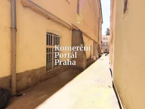 Pronájem obchodního prostoru, Praha - Nové Město, Václavské náměstí, 309 m2