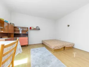 Prodej vícegeneračního domu, Olomouc, Na Zábraní, 430 m2