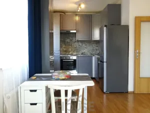 Prodej bytu 1+kk, Praha - Michle, V dolině, 43 m2