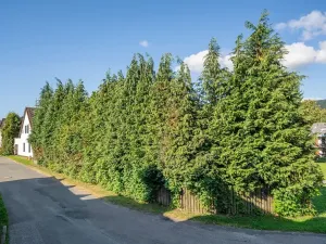 Prodej chaty, Slaný, K. H. Borovského, 149 m2
