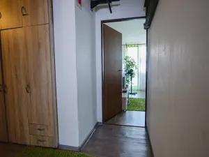 Prodej bytu 2+1, Mladá Boleslav, 17. listopadu, 66 m2