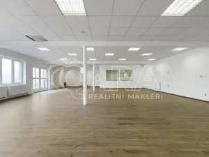 Pronájem obchodního prostoru, Nový Jičín, Riegrova, 149 m2