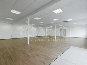 Pronájem obchodního prostoru, Nový Jičín, Riegrova, 149 m2