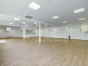 Pronájem obchodního prostoru, Nový Jičín, Riegrova, 149 m2