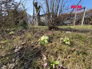 Prodej rodinného domu, Český Brod, Zahrady, 80 m2