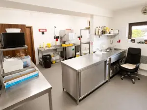 Pronájem restaurace, Bitozeves, 824 m2