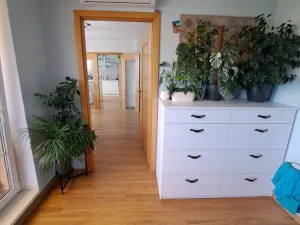 Pronájem bytu 2+1, Olomouc, Horní lán, 70 m2