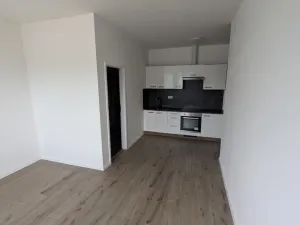 Pronájem bytu 2+kk, Most, Františka Halase, 54 m2