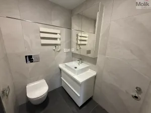 Pronájem bytu 2+kk, Most, Františka Malíka, 40 m2