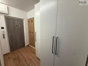 Pronájem bytu 2+kk, Most, Františka Malíka, 40 m2