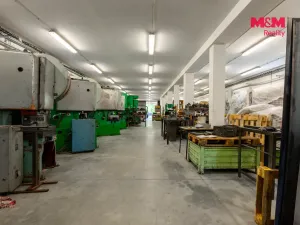Prodej výrobních prostor, Horní Benešov - Luhy, 803 m2