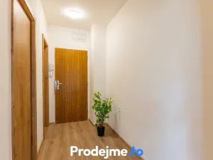 Prodej bytu 1+1, Znojmo, Smetanova, 45 m2