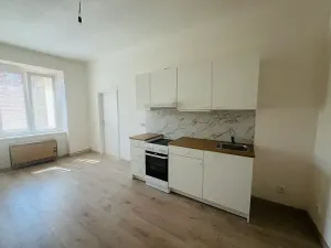 Pronájem bytu 1+1, Praha, 55 m2