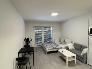 Pronájem bytu 1+kk, Olomouc, Wolkerova, 29 m2