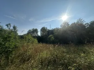 Prodej pozemku, Kaplice - Blansko, 3546 m2