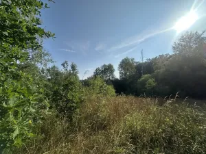 Prodej pozemku, Kaplice - Blansko, 3546 m2