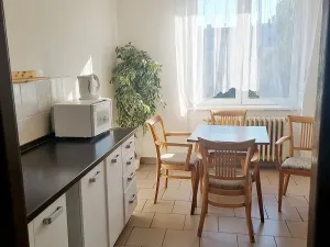 Pronájem pokoje, Plzeň - Východní Předměstí, Zahradní, 22 m2