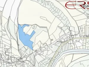 Prodej lesa, Benešov u Semil, 15416 m2