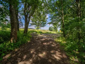 Prodej pozemku pro bydlení, Výsluní - Volyně, 5053 m2