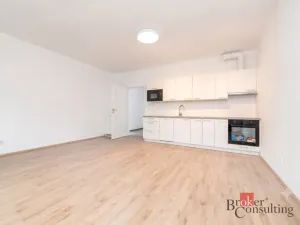 Prodej bytu 1+kk, Plzeň - Jižní Předměstí, Železná, 36 m2
