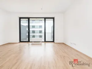 Prodej bytu 1+kk, Plzeň - Jižní Předměstí, Železná, 36 m2
