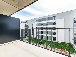 Prodej bytu 1+kk, Plzeň - Jižní Předměstí, Železná, 36 m2