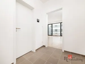 Prodej bytu 1+kk, Plzeň - Jižní Předměstí, Železná, 36 m2