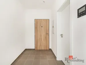 Prodej bytu 1+kk, Plzeň - Jižní Předměstí, Železná, 36 m2