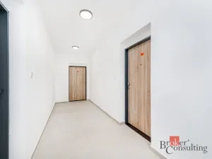 Prodej bytu 1+kk, Plzeň - Jižní Předměstí, Železná, 36 m2