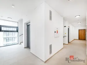 Prodej bytu 1+kk, Plzeň - Jižní Předměstí, Železná, 36 m2