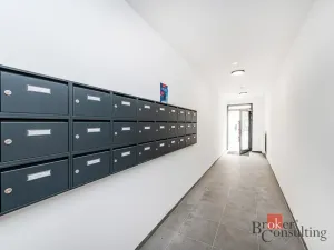 Prodej bytu 1+kk, Plzeň - Jižní Předměstí, Železná, 36 m2