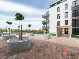 Prodej bytu 1+kk, Plzeň - Jižní Předměstí, Železná, 36 m2