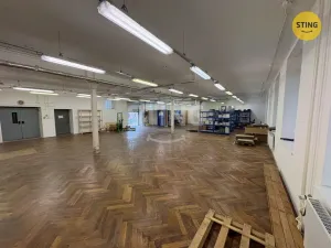 Pronájem skladu, Prostějov, Havlíčkova, 298 m2