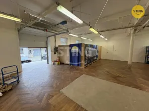 Pronájem skladu, Prostějov, Havlíčkova, 298 m2