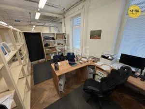 Pronájem skladu, Prostějov, Havlíčkova, 298 m2