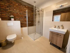 Pronájem apartmánu, Slavíkovice, 78 m2