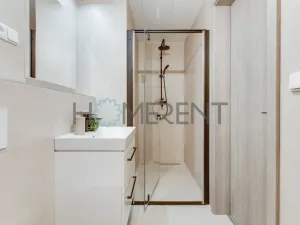 Pronájem bytu 1+kk, Praha - Nové Město, Vyšehradská, 37 m2