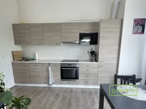 Pronájem bytu 2+kk, Slaný - Kvíček, U Benaru, 55 m2