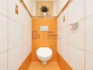 Prodej bytu 3+1, Člunek - Lomy, 63 m2