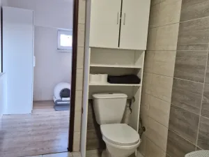 Pronájem atypického bytu, Droužkovice, Rudé armády, 62 m2