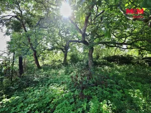 Prodej rodinného domu, Golčův Jeníkov, Mírová, 100 m2