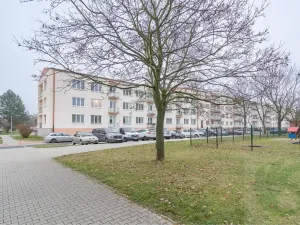 Pronájem bytu 2+1, Štětí, Školní, 53 m2