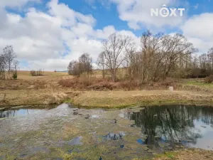 Prodej apartmánu, Staré Město, Sportovní, 57 m2