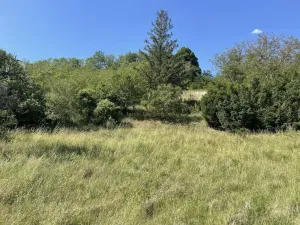 Prodej zahrady, Nová Ves, 2559 m2