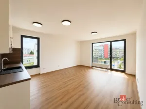 Pronájem bytu 1+kk, Plzeň - Jižní Předměstí, Železná, 37 m2