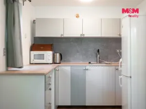 Prodej chaty, Město Albrechtice - Česká Ves, 142 m2