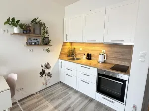 Pronájem bytu 1+kk, Rajhrad, Masarykova, 41 m2