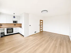 Prodej bytu 1+kk, Praha - Záběhlice, Bramboříková, 42 m2