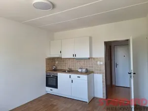 Pronájem bytu 1+kk, Dobřany, 17. listopadu, 19 m2