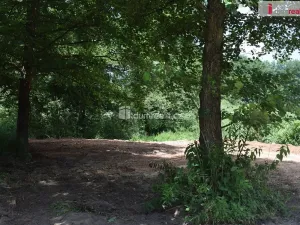 Prodej zahrady, Mukařov, 1560 m2